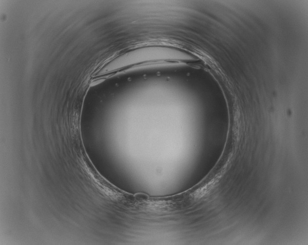 X0000056010849200509021728
