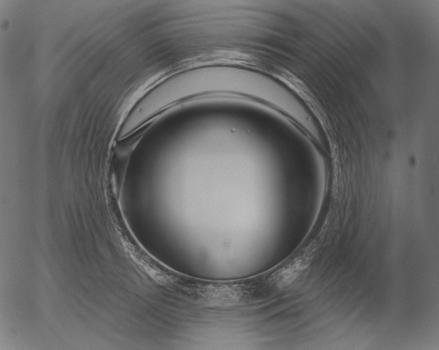 X0000056010850200509021728
