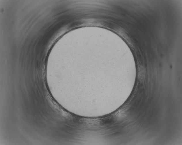X0000056010856200509021728