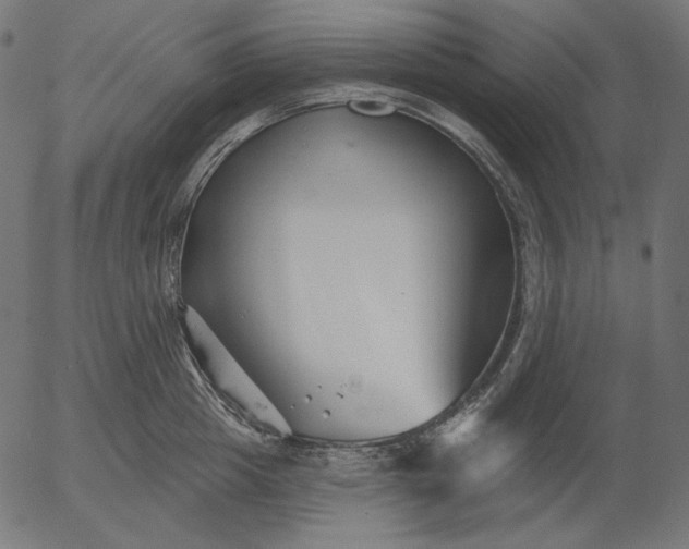 X0000056010857200509021728
