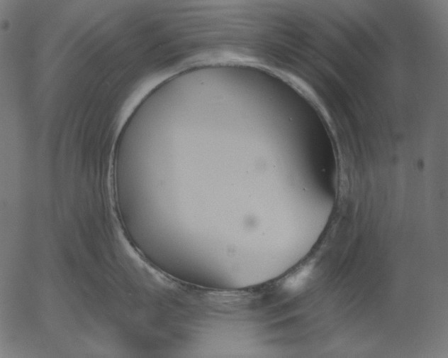 X0000056010863200509021728