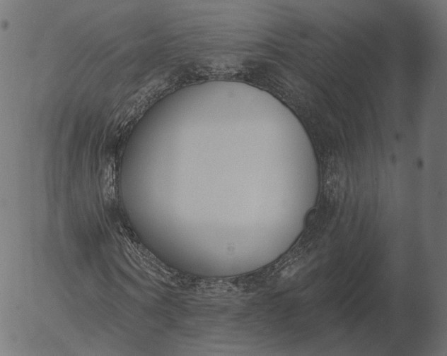 X0000056010866200509021727