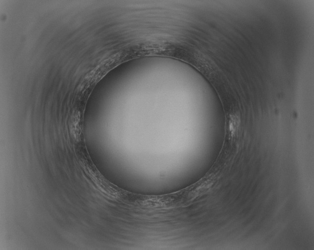 X0000056010867200509021727