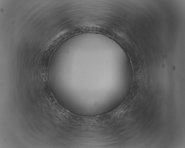 X0000056010870200509021727