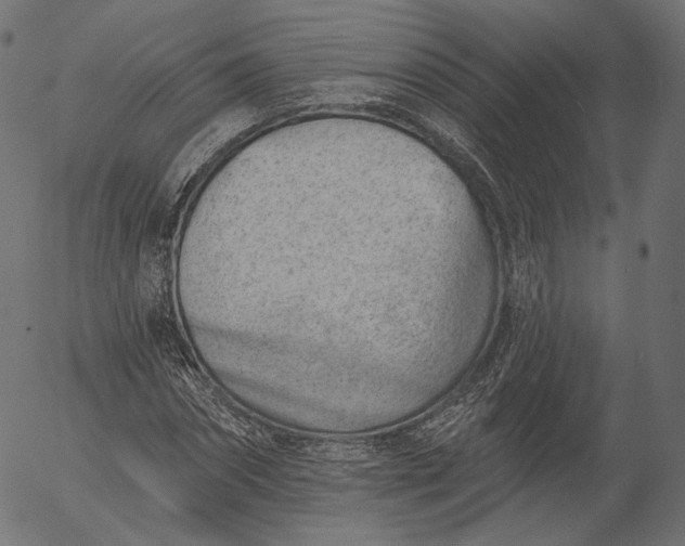 X0000056010874200509021727