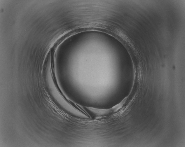 X0000056010876200509021727
