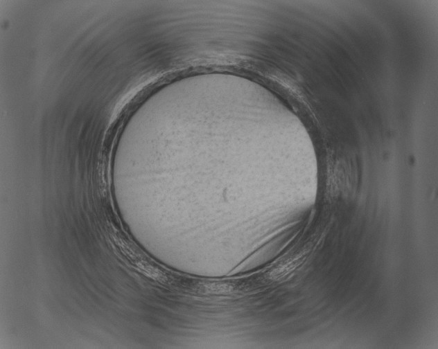 X0000056010878200509021727