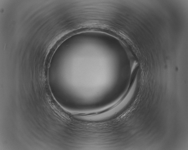 X0000056010880200509021727