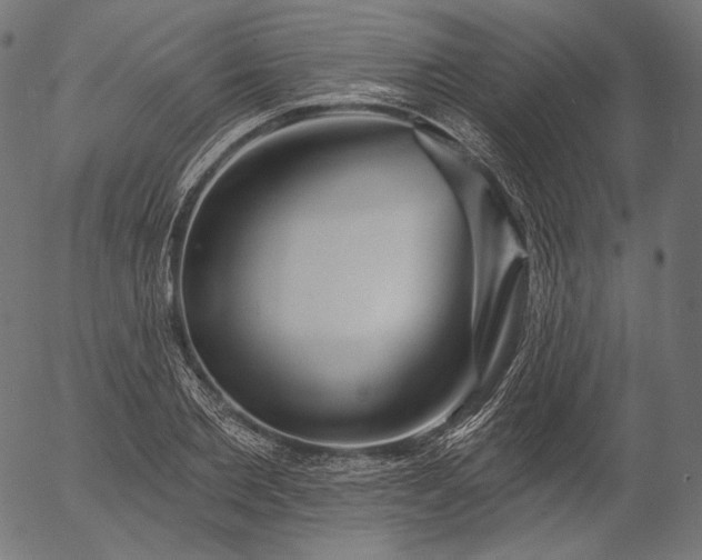X0000056010885200509021727