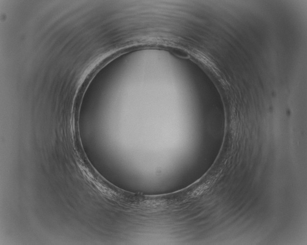 X0000056010888200509021727