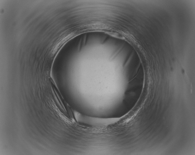 X0000056010889200509021727