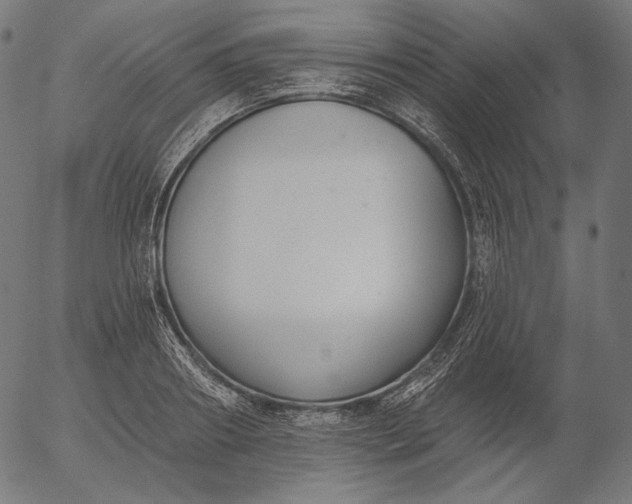 X0000056010890200509021727
