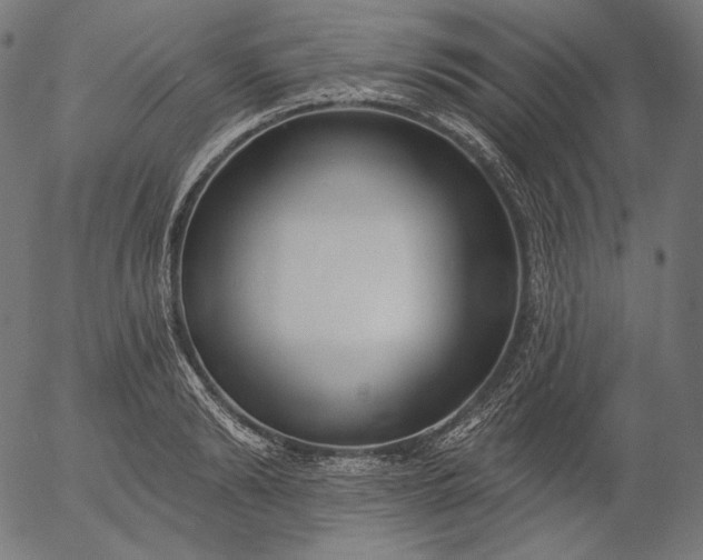 X0000056010894200509021727