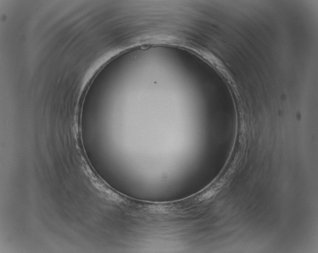 X0000056010904200509021727