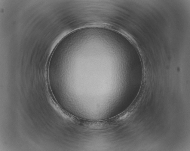 X0000056010907200509021727