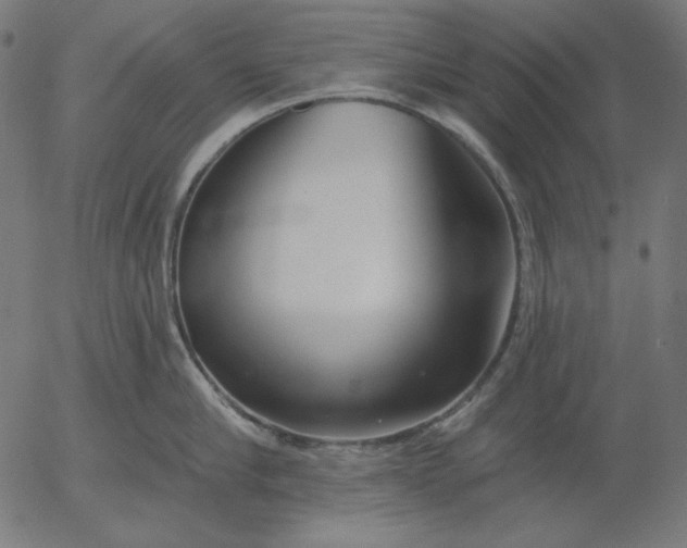 X0000056010910200509021727