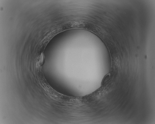 X0000056010914200509021726