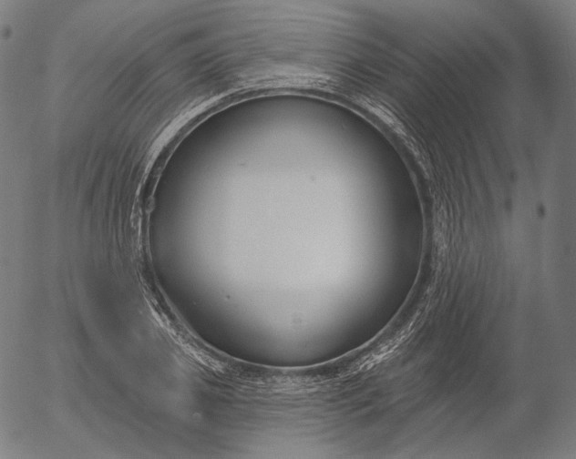 X0000056010933200509021726