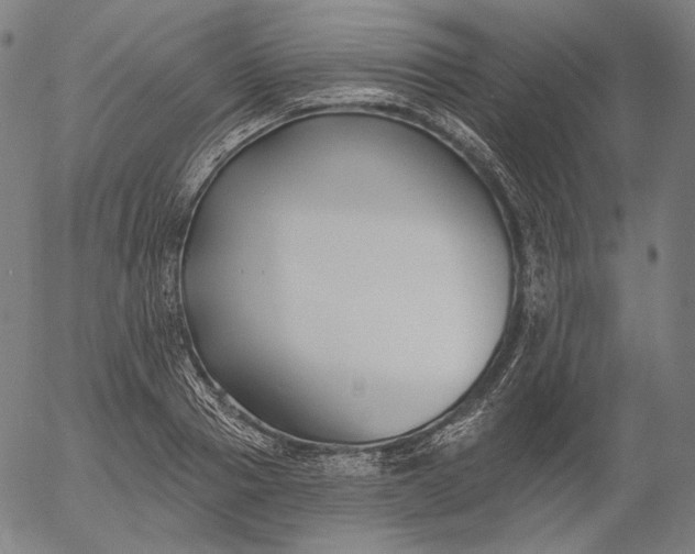 X0000056010937200509021726