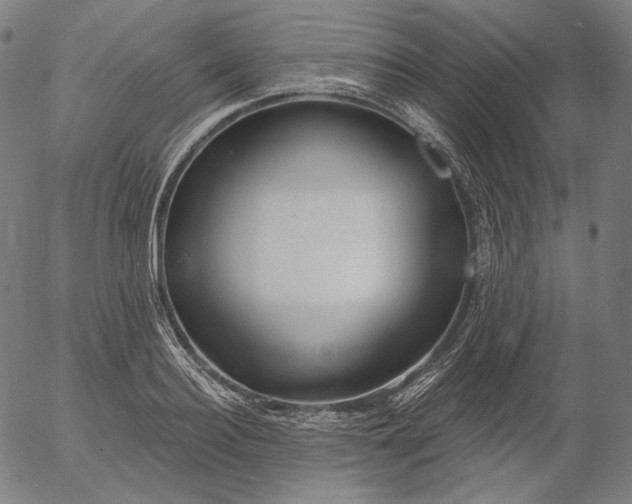 X0000056010940200509021726