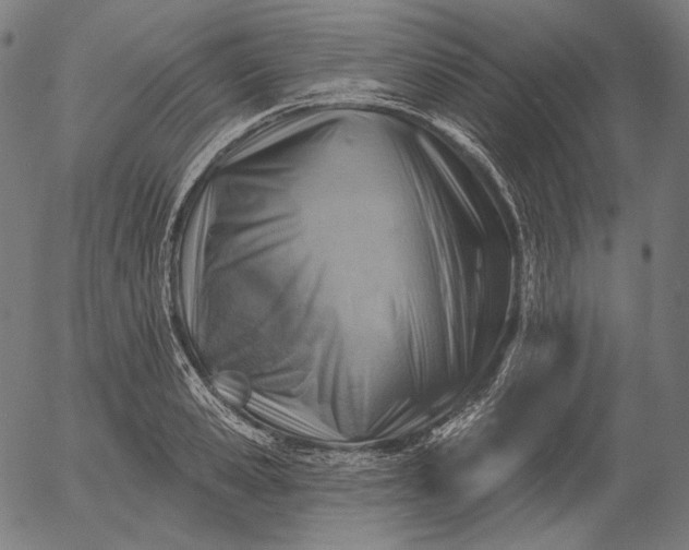 X0000056010941200509021726