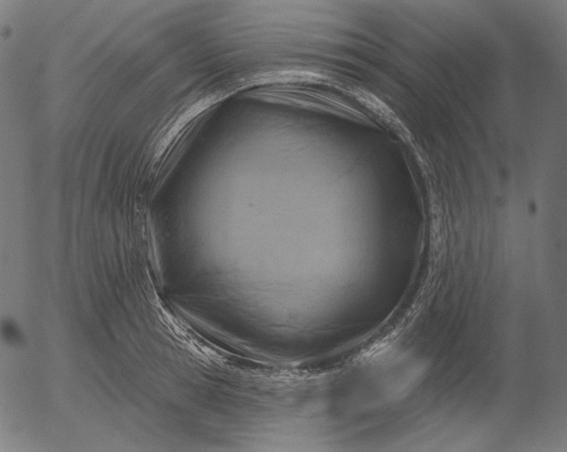 X0000056010945200509021726