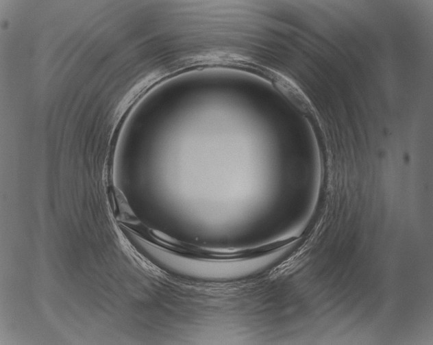 X0000056010946200509021726