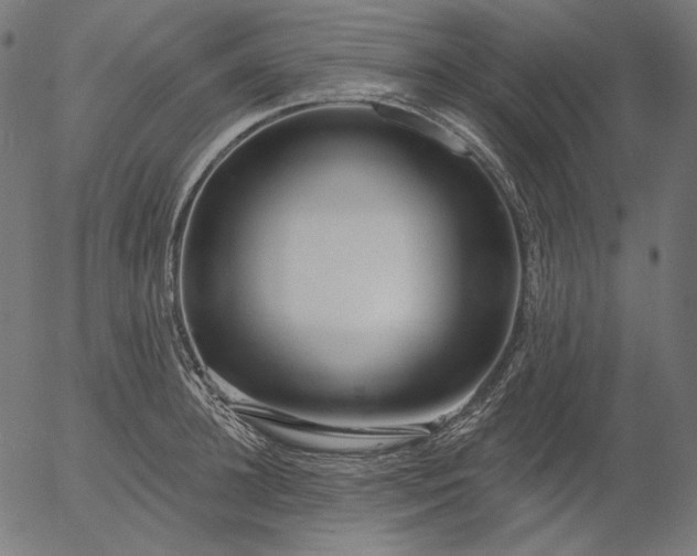 X0000056010948200509021726