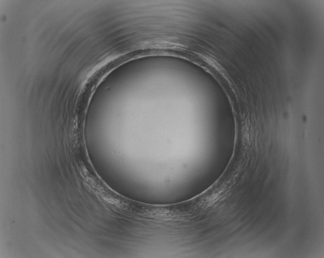 X0000056010971200509021725