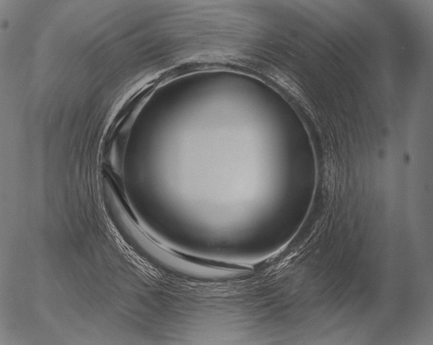 X0000056010976200509021725