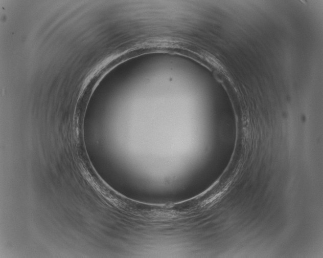 X0000056010981200509021725