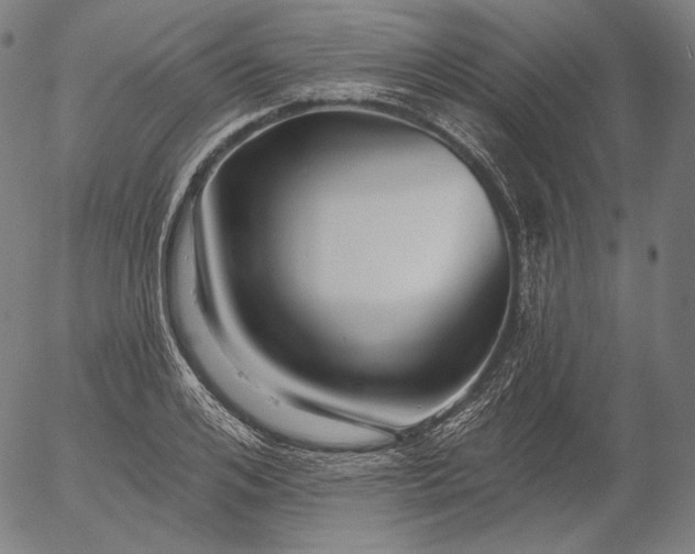 X0000056010984200509021725