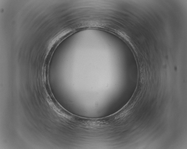 X0000056010987200509021725