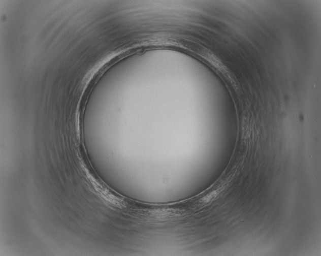X0000056010988200509021725