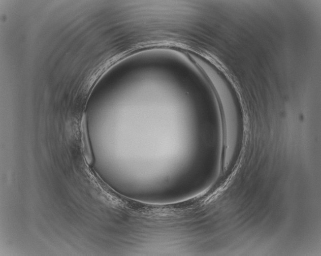 X0000056010993200509021725