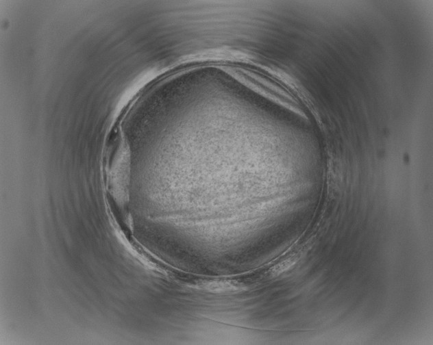 X0000056010998200509021725