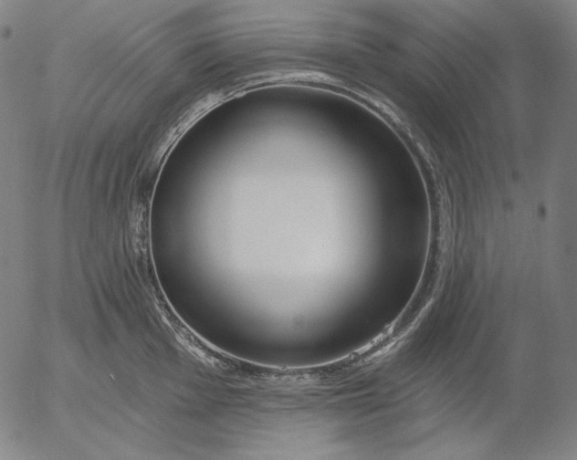 X0000056011001200509021725