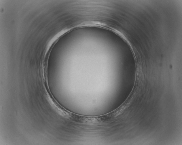X0000056011003200509021725