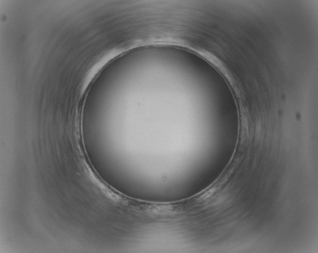 X0000056011006200509021725