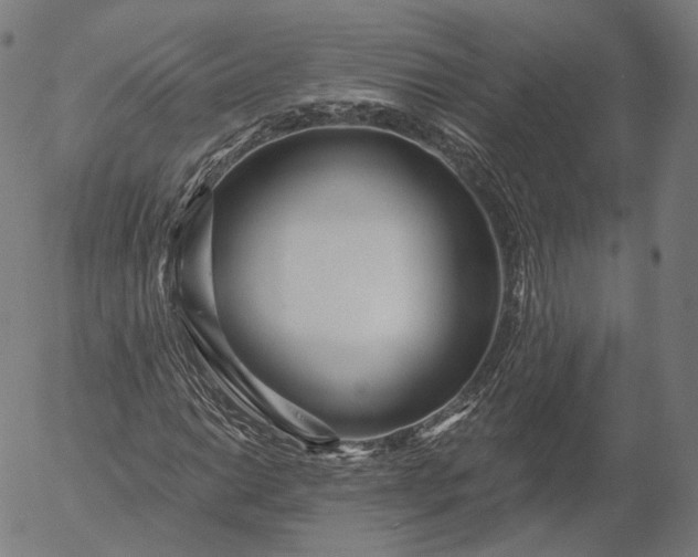 X0000056011014200509021724