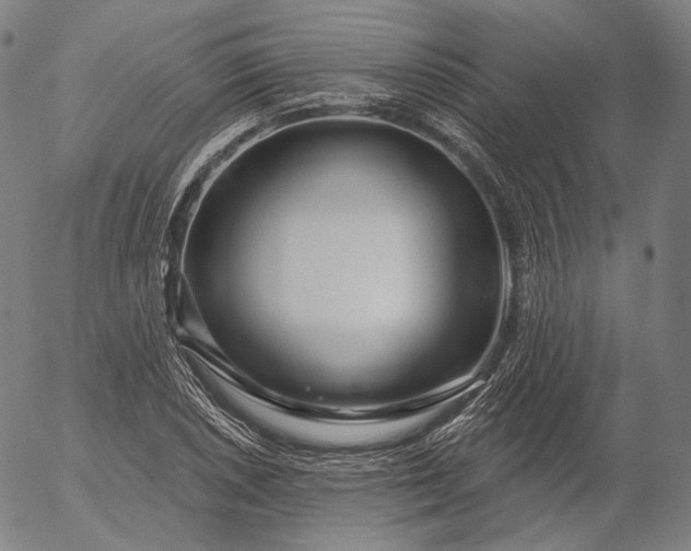 X0000056011026200509021724