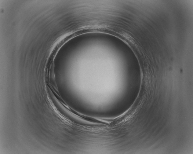 X0000056011030200509021724