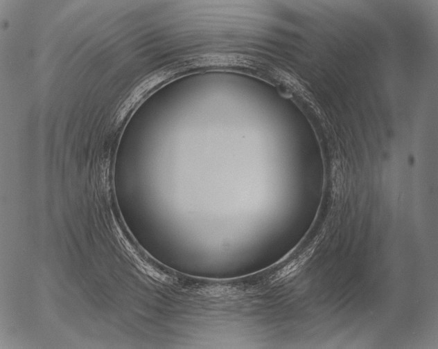 X0000056011033200509021724