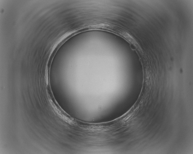 X0000056011036200509021725