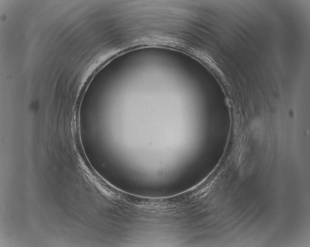 X0000056011040200509021725
