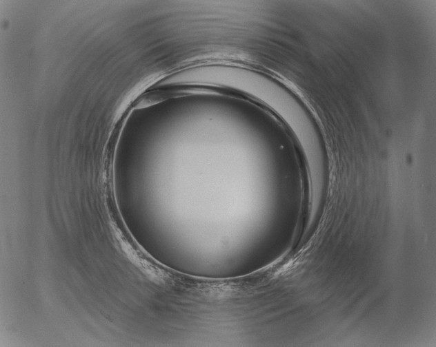 X0000056011042200509021725