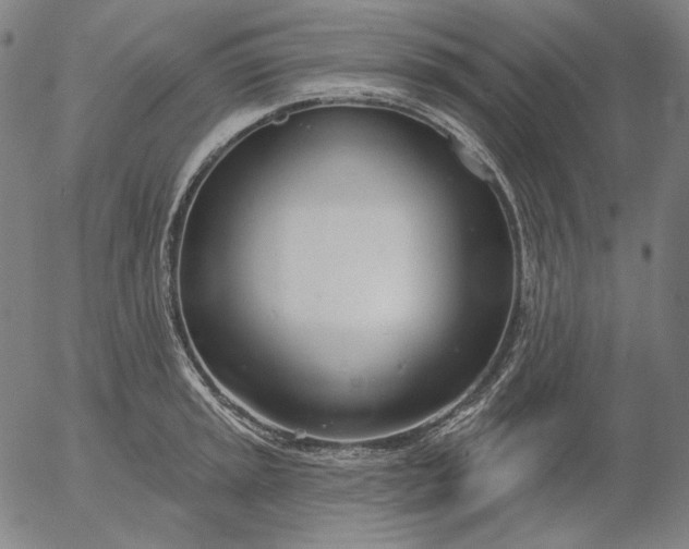 X0000056011045200509021725