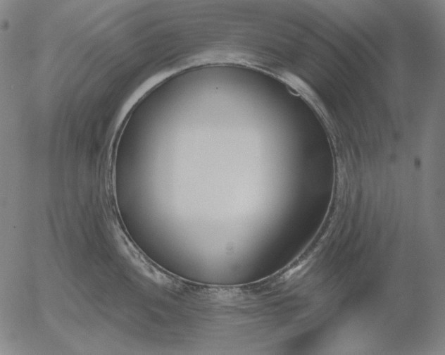X0000056011052200509021725