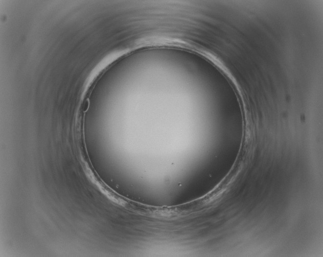 X0000056011053200509021725