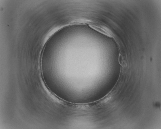 X0000056011055200509021725